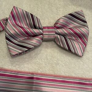 Elegant Pink Striped Bow Tie